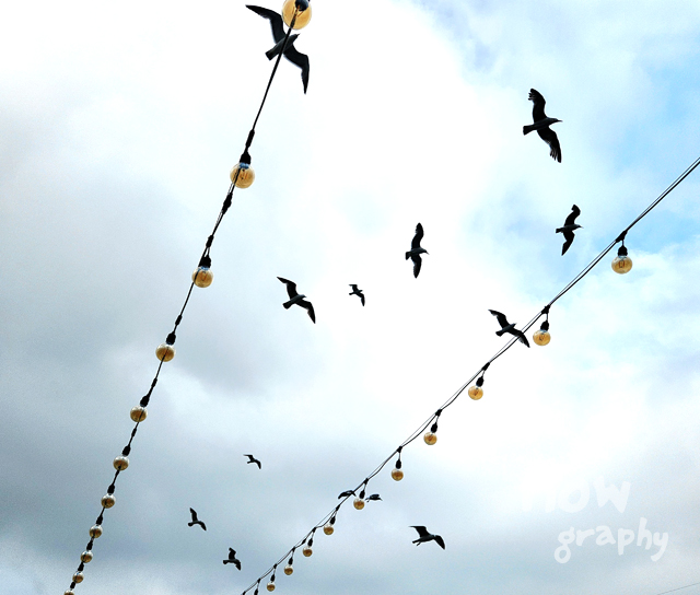 여의도-이랜드크루즈-유람선