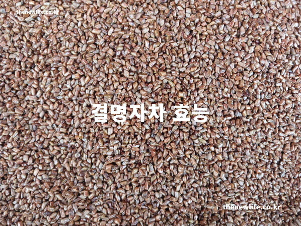 결명자차 효능 대표 실사진