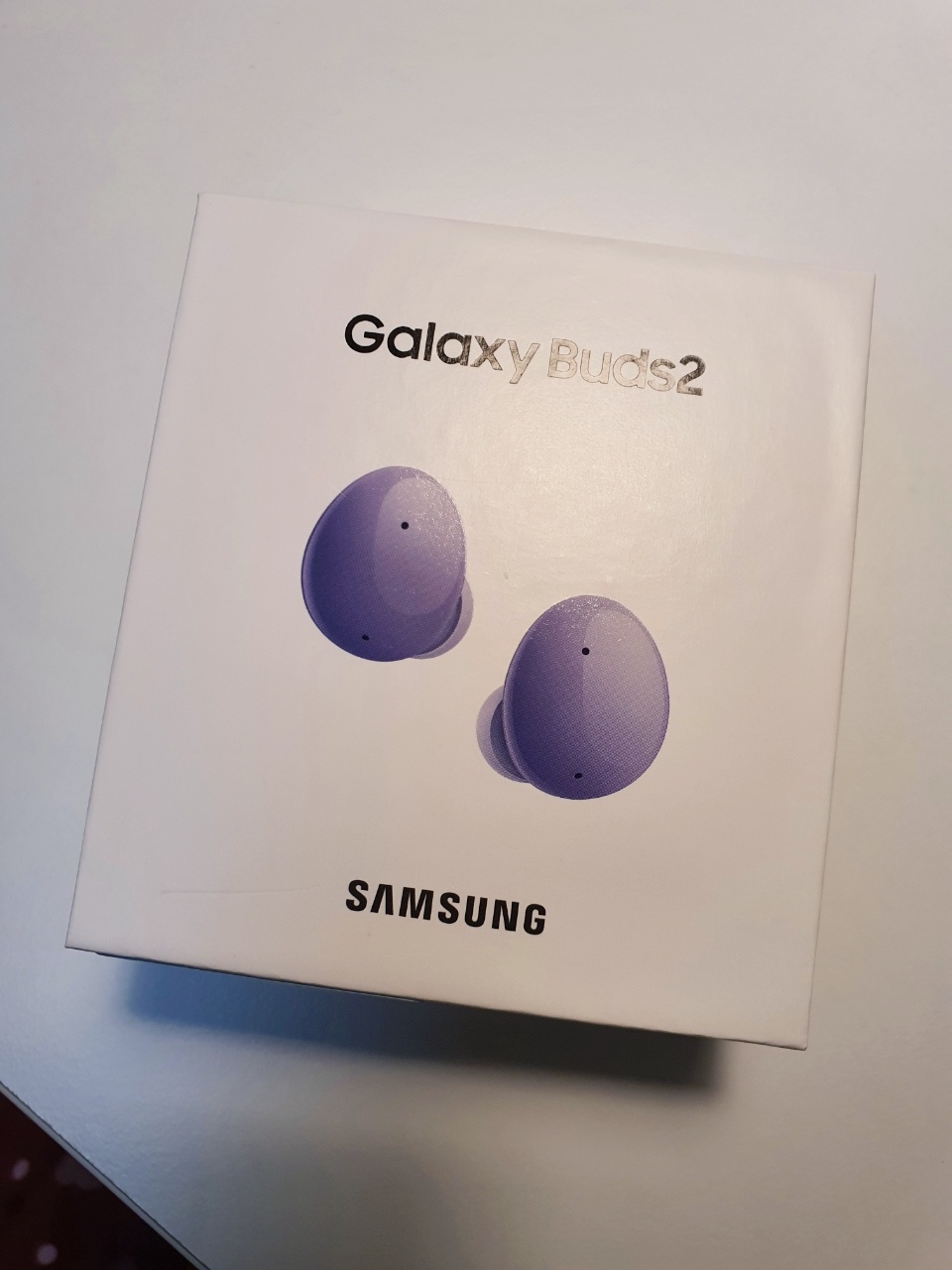 버즈2 박스 외관