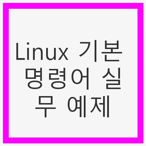 리눅스의 기본 구조 이해하기