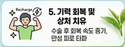 알부민 효능