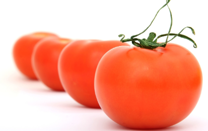 토마토 효능