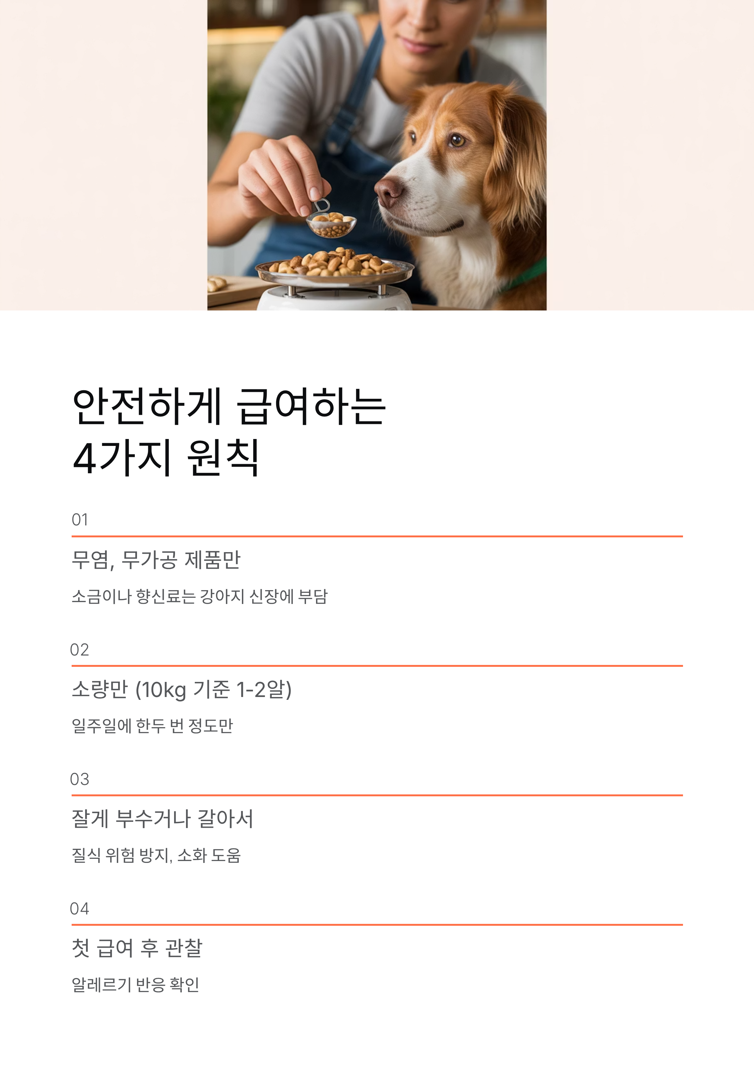 강아지 견과류 급여 완벽 가이드! 이것만은 절대 주지 마세요