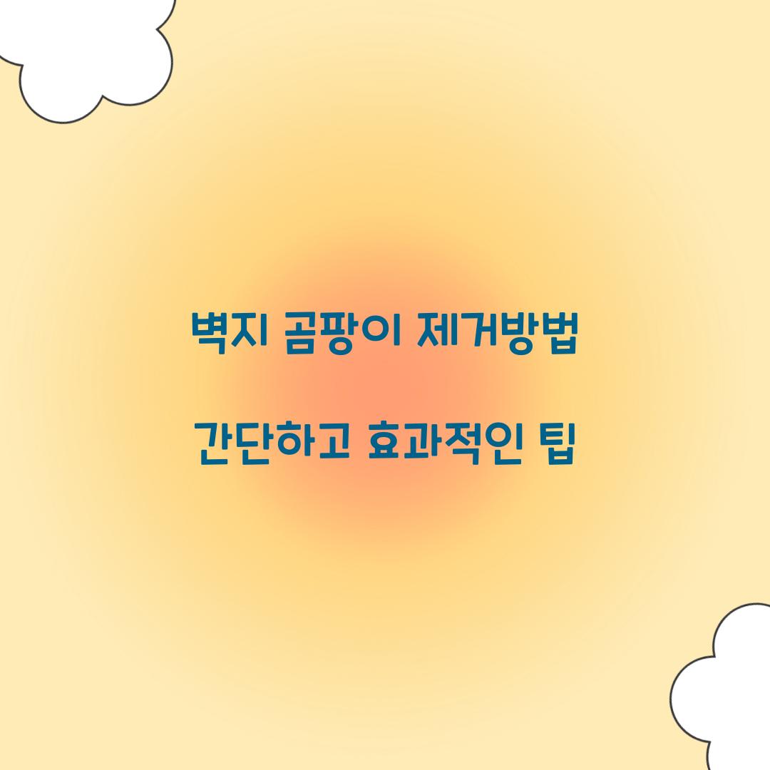 벽지 곰팡이 제거방법