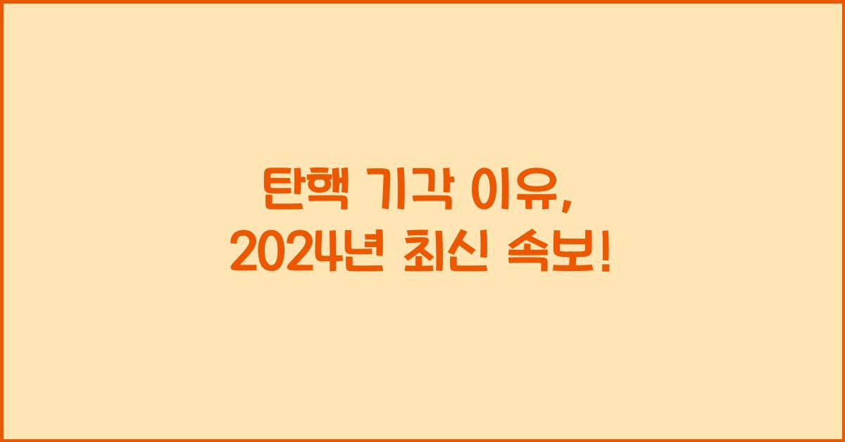 탄핵 기각 이유