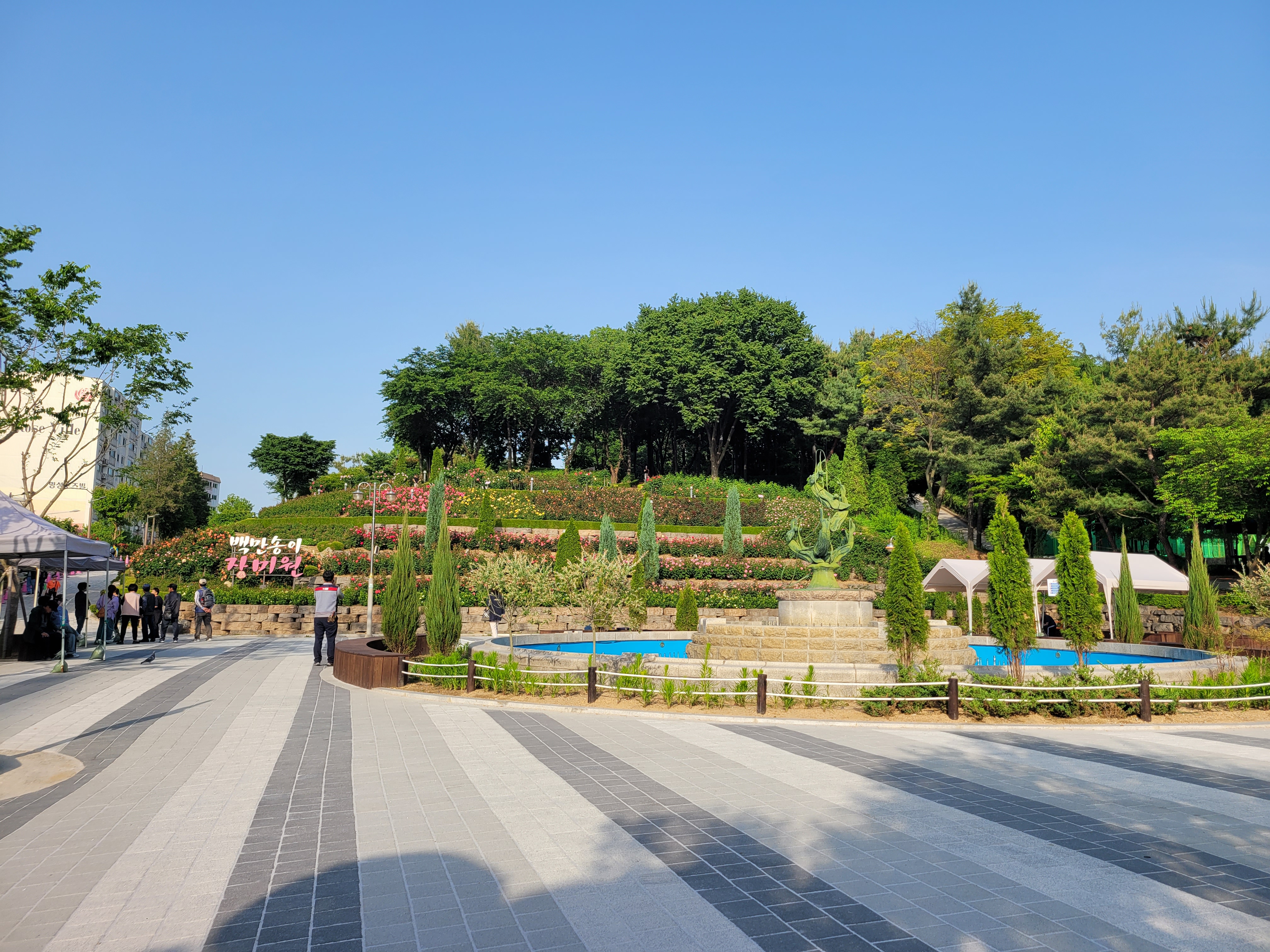 백만송이장미원 입구입니다.