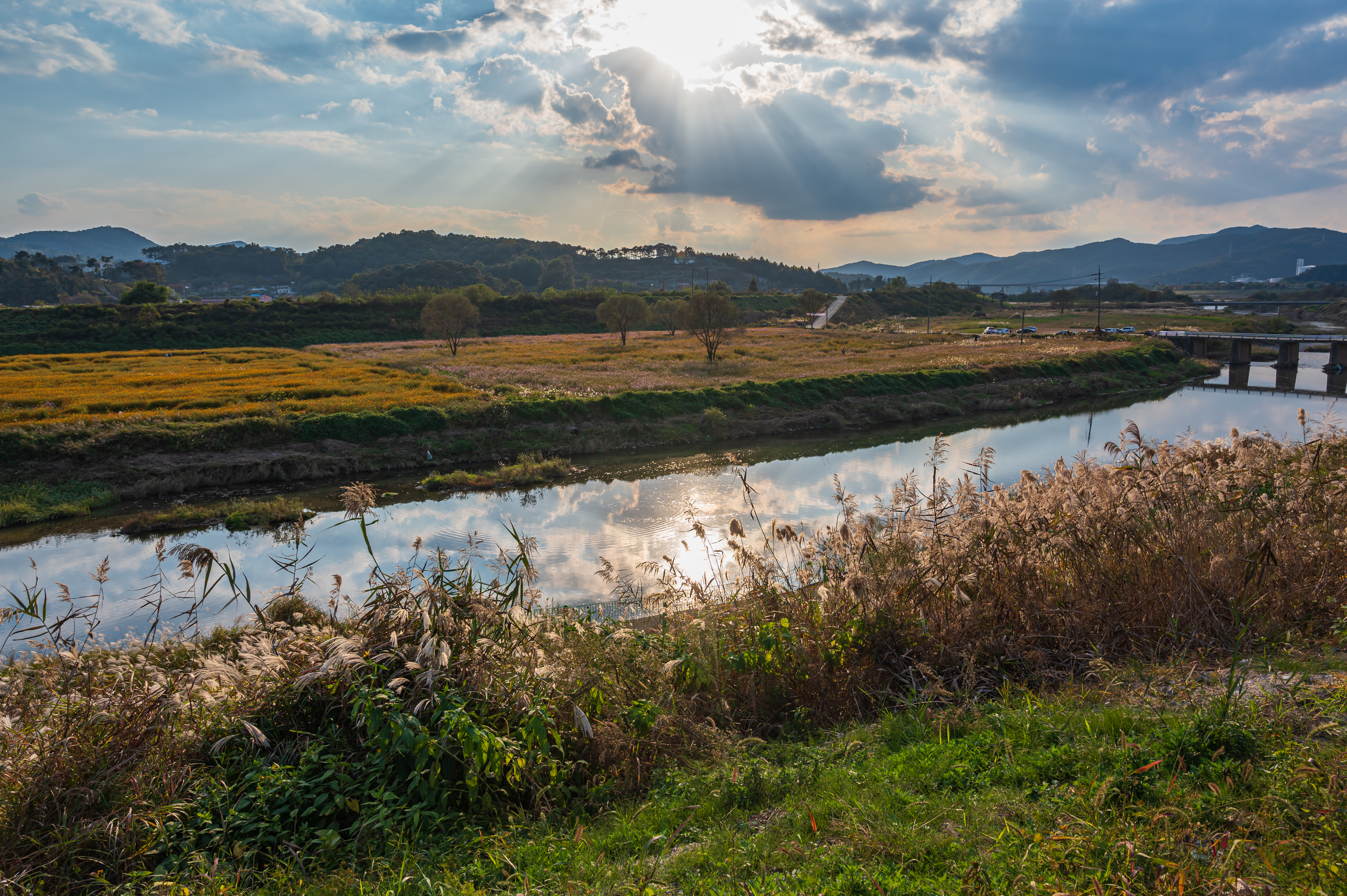 ์ฝ์ค๋ชจ์ค ๋ง๊ฐ '์ธ์ข
์ฒ๋ฐ๊ทผ๋ฆฐ๊ณต์'