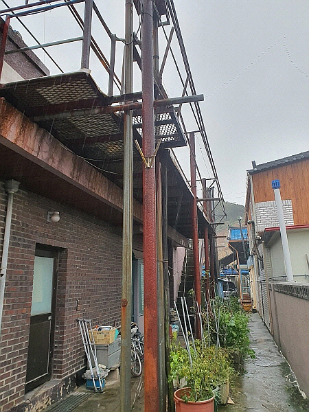 건물 위에 아시바를 격자로 조립해 만든 동해시 오징어 덕장
