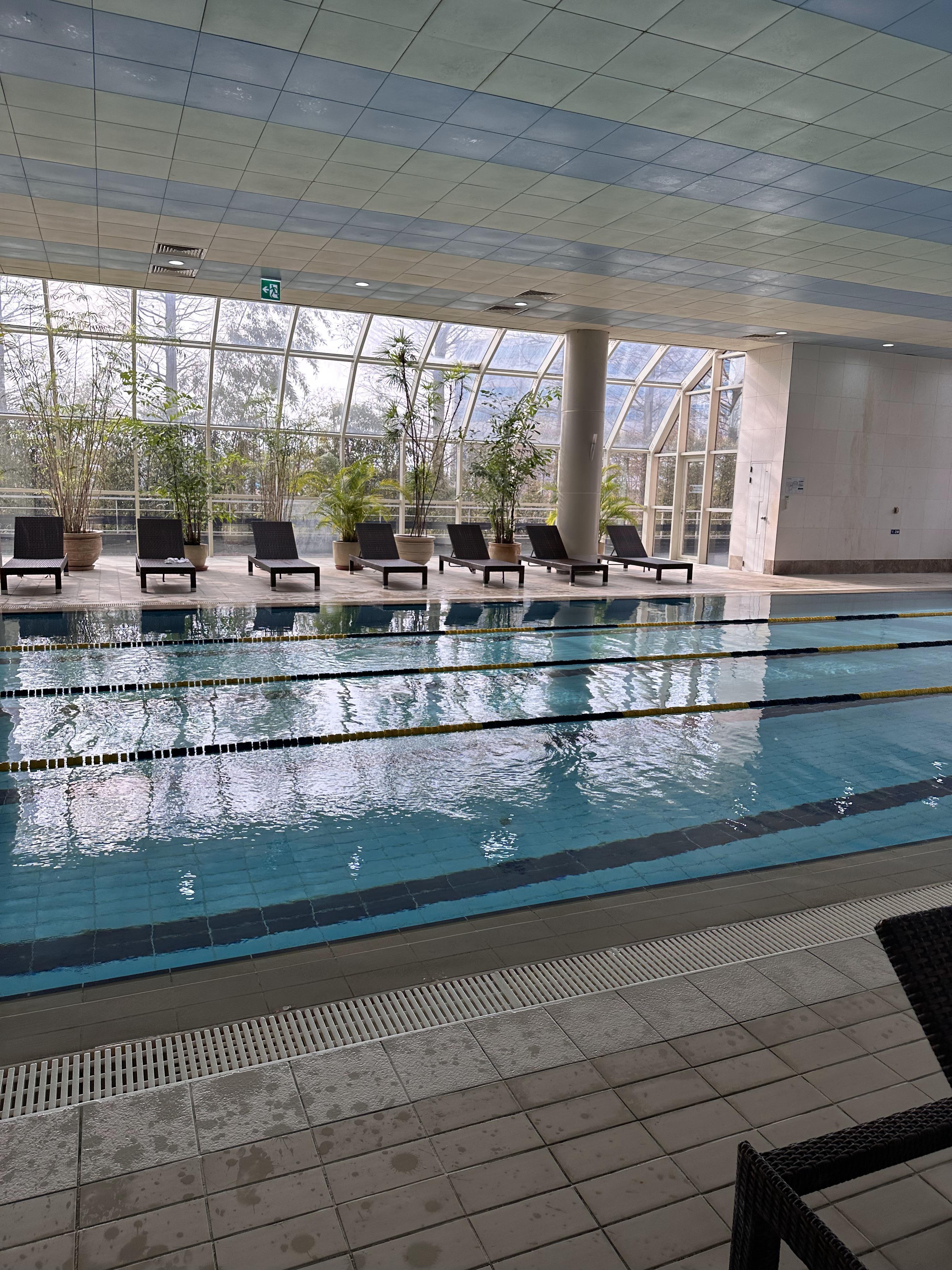 메이필드 수영장 성인용