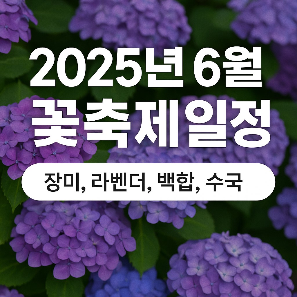 2025년 6월 전국 꽃축제 일정 총정리