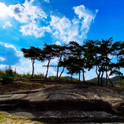 화순 가볼만한곳 베스트10