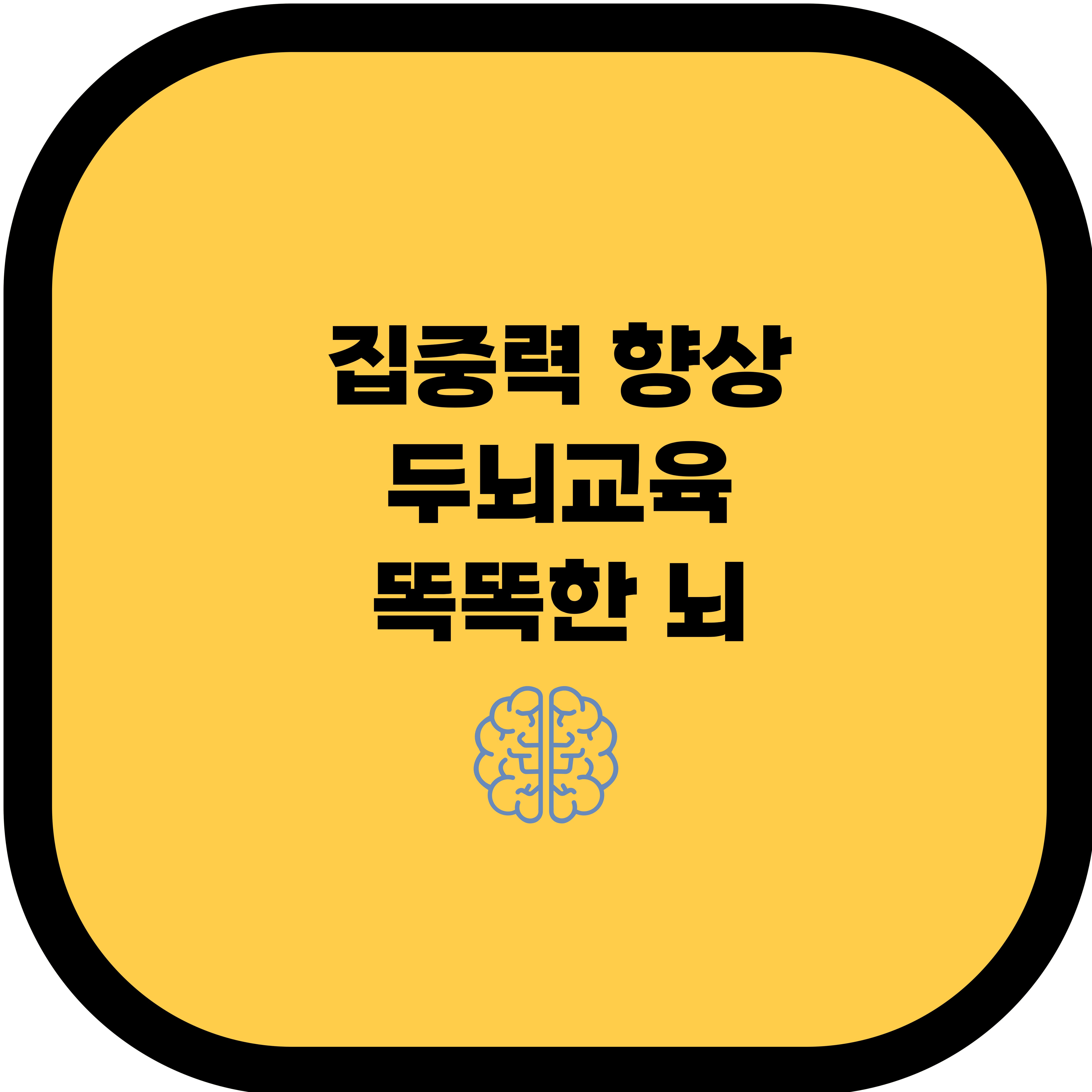 집중력 향상 & 두뇌 건강을 위한 식단: 똑똑한 뇌를 만드는 최고의 음식!