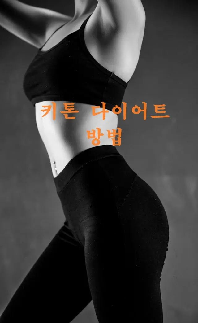 키토 다이어트 방법