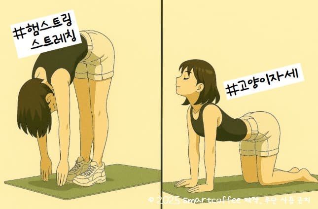 퇴근 후 15분, 좁은 방에서도 거뜬한 직장인 홈트 루틴