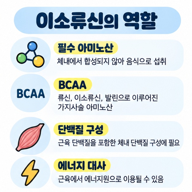 이소류신이 필수 아미노산이자 BCAA로서 단백질 구성과 에너지 대사에 관여한다는 점을 정리한 카드