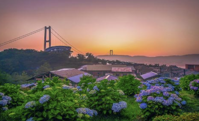 2026 장생포 수국 페스티벌