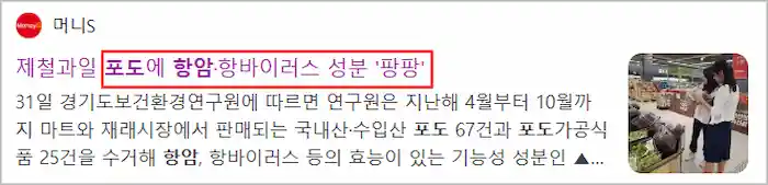 포도 항염 작용 효능 기사 이미지