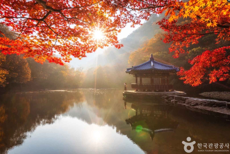 내장산국립공원