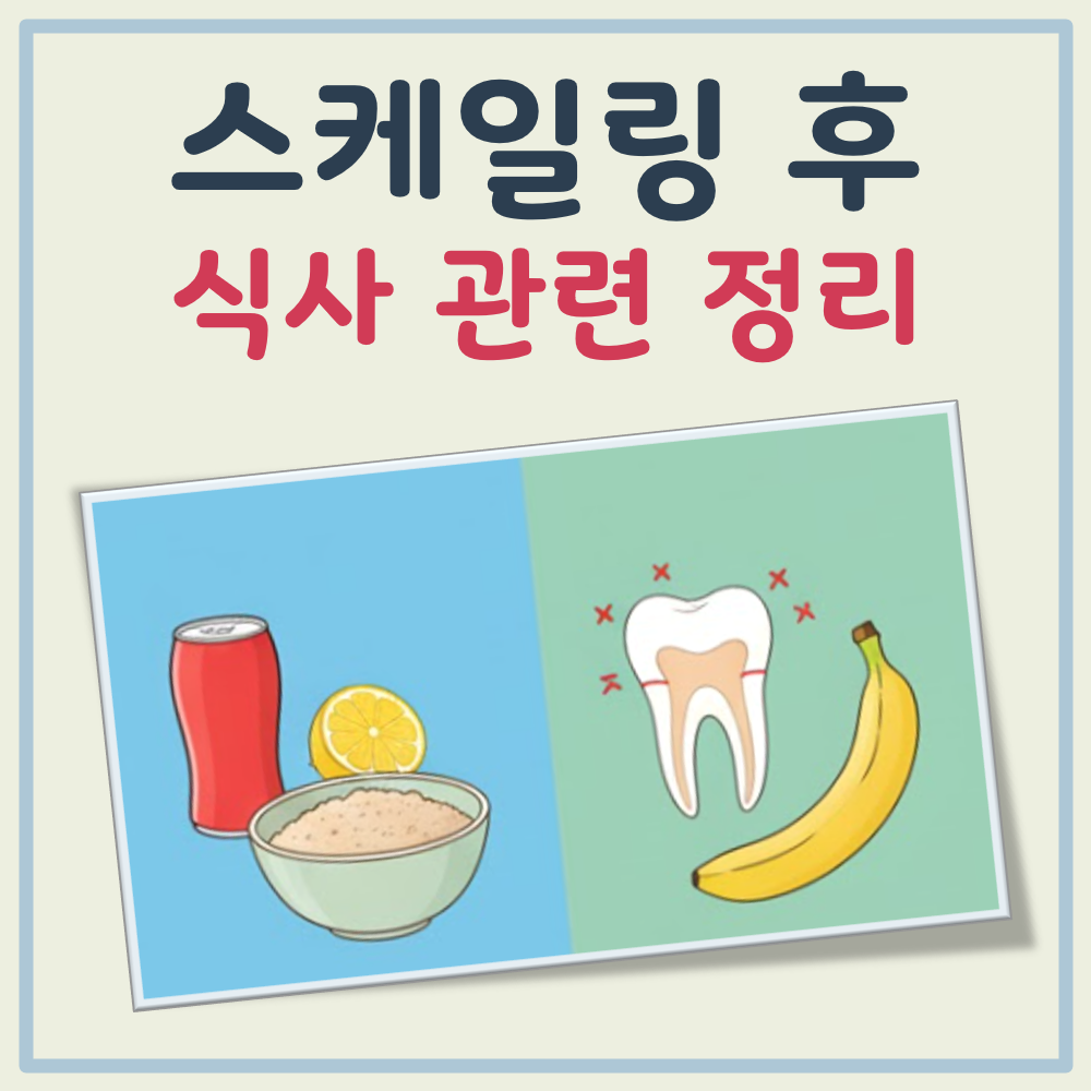 스케일링 후 식사 대표 이미지