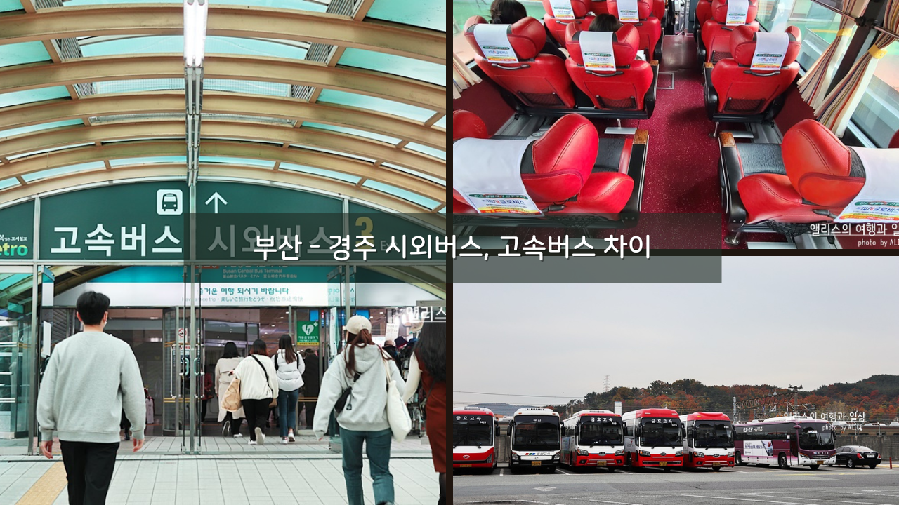 부산 - 경주 시외버스, 고속버스 차이 간략 후기