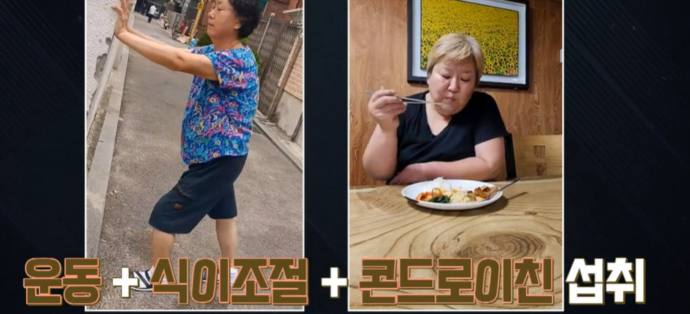 콘드로이친 효능