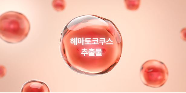 눈영양제-추천-솔티스-프로텍션-프로-S2-성분