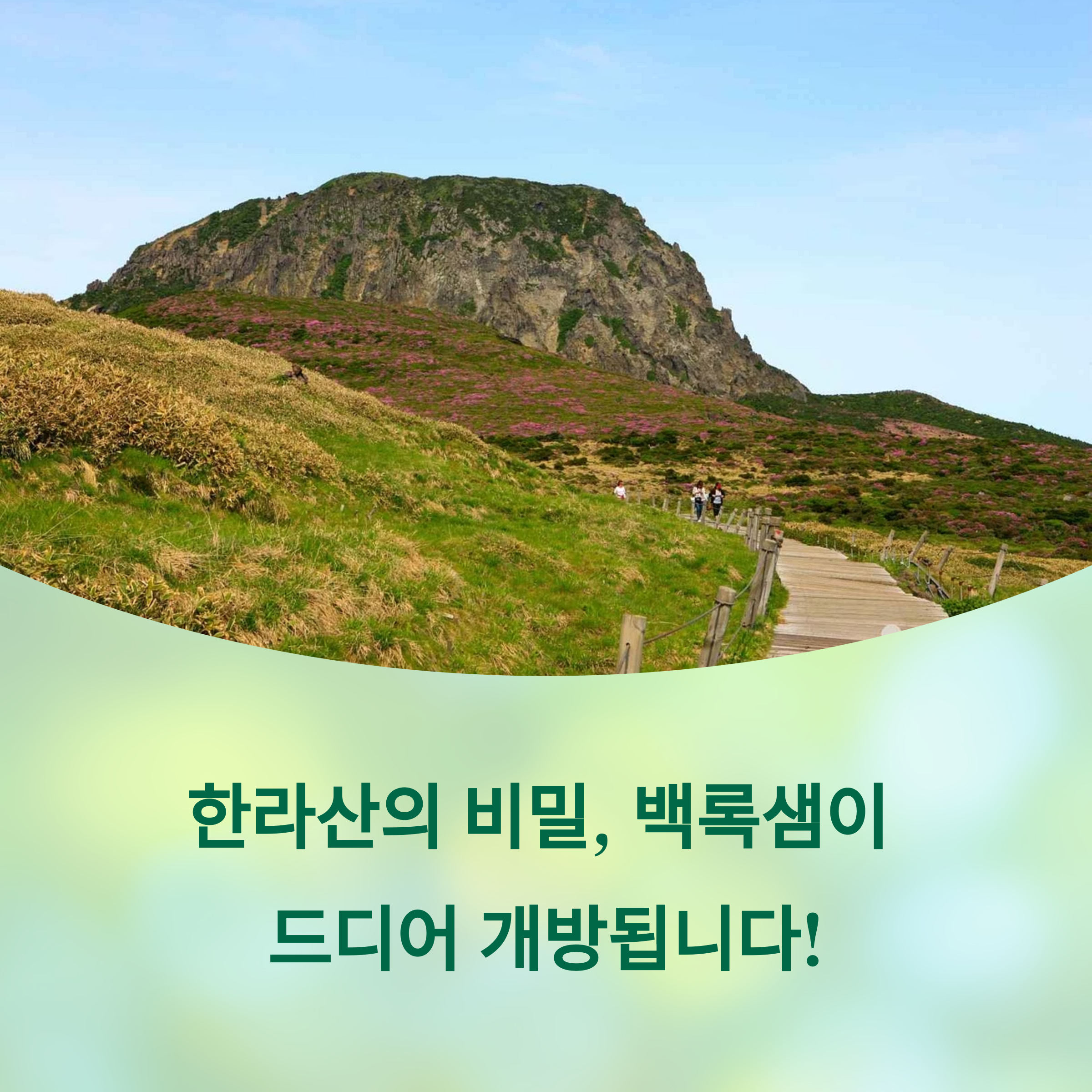한라산의비밀 백록샘