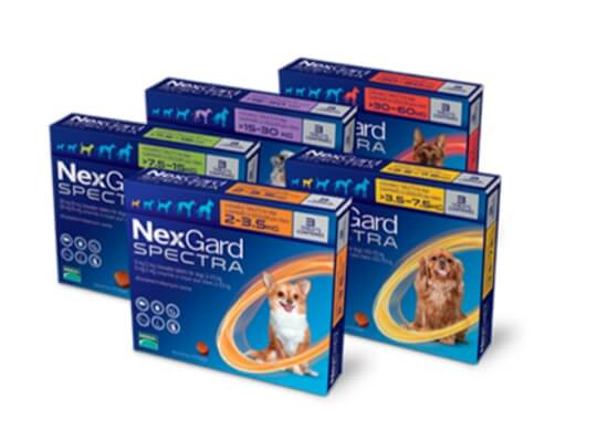 강아지 심장사상충 예방