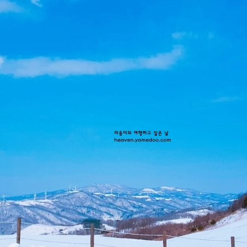 국내 겨울 여행지 베스트 10