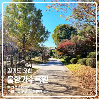오산 가볼만한곳 맛집 카페 추천 반려견 사진 명소_22