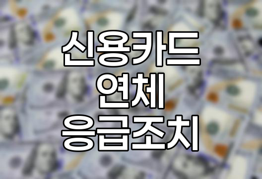신용카드 연체 직전 응급조치, 4가지 실용적 방법