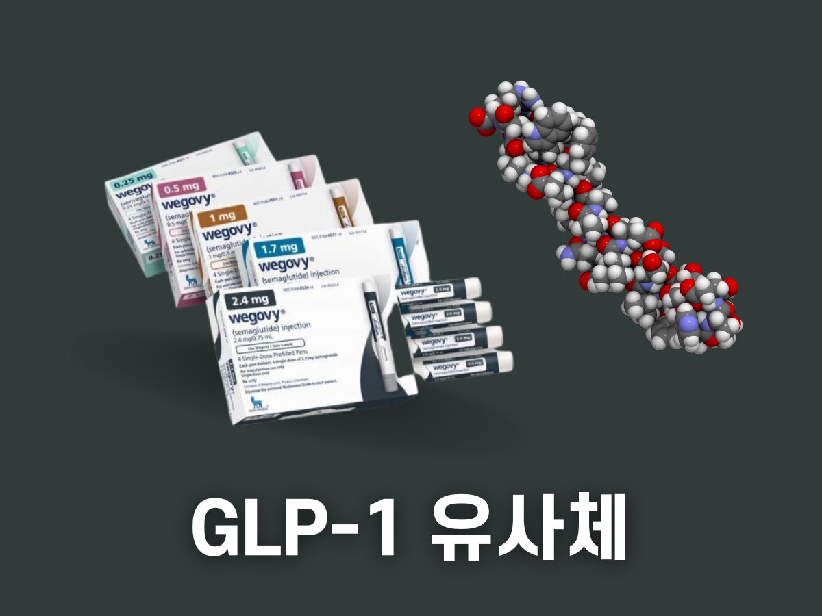 GLP-1 유사체란 무엇인가 (비만 치료제 호르몬)