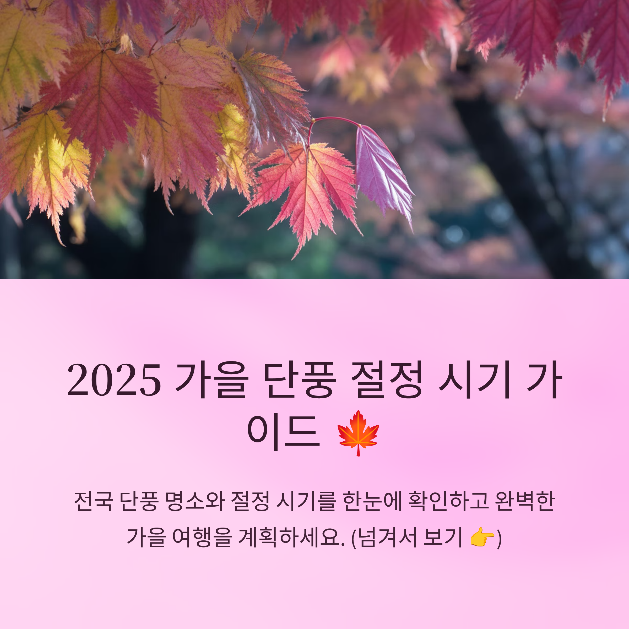 2025 가을 단풍 절정 시기 가이드