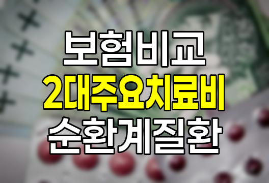 보험회사별 2대 주요 치료비 및 순환계 주요 치료비 비교 분석 관련 정보