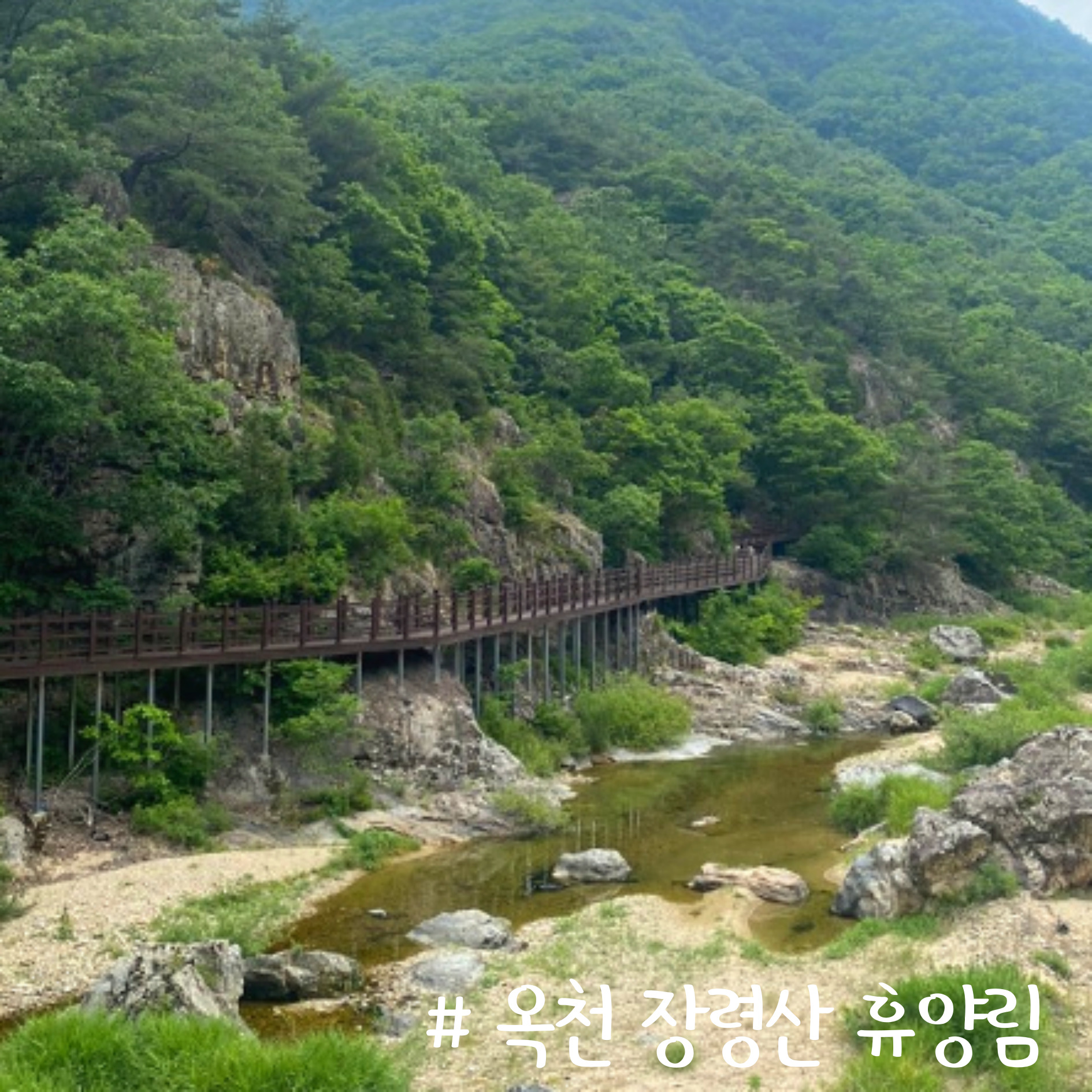 옥천 장령산 휴양림