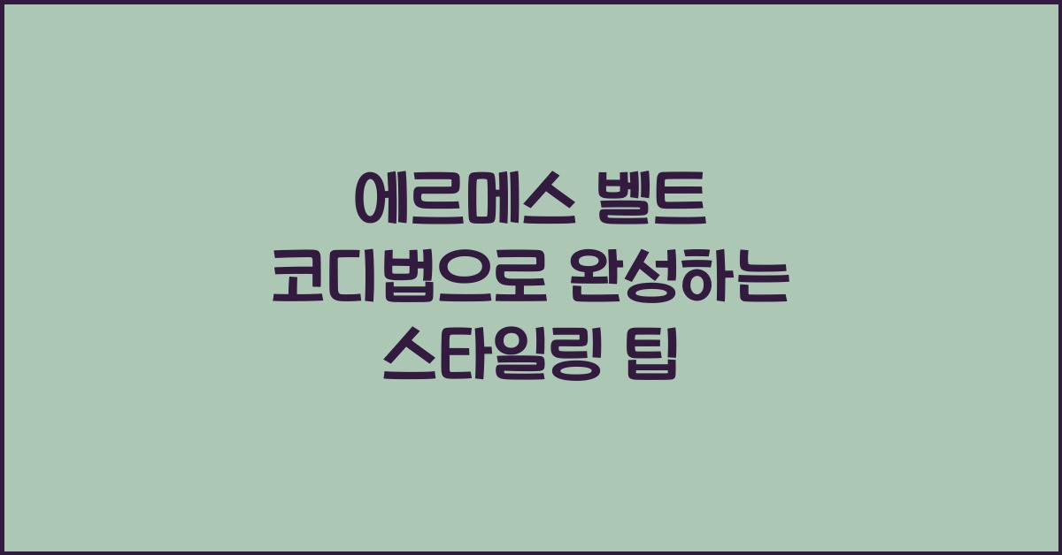 에르메스 벨트 코디법