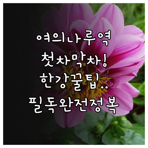 여의나루역 첫차 막차 시간표 및 한강..