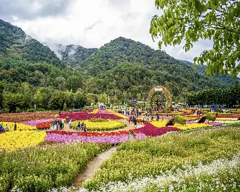 인제 가을꽃축제_11