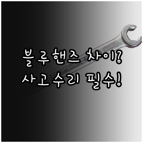 전문 블루핸즈와 종합 블루핸즈 차이 ..