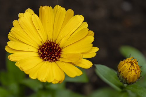 골다공증에 좋은 음식과 운동요법