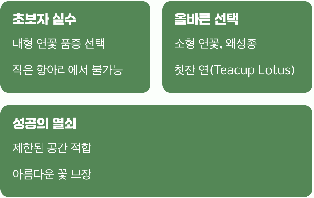 첫 단추, 우리 집에 맞는 작은 연꽃 고르기