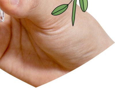 췌장암 초기증상