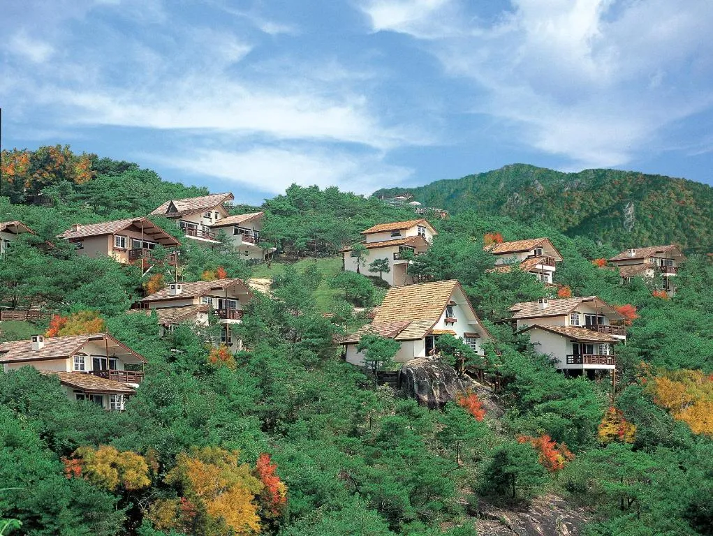 제천 맛집 베스트10 현지인 숨겨진 맛집_4