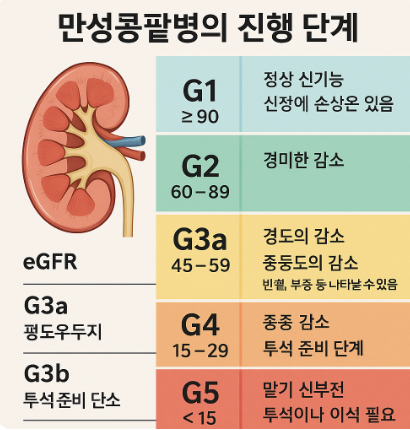 만성콩팥병의 진행 단계별 특징과 단계별 관리 방법