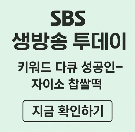 SBS생방송투데이 자이소찹쌀떡