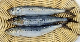 심장에 좋은 음식