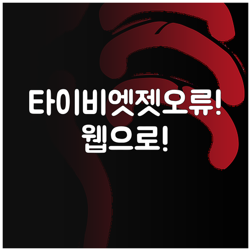 타이비엣젯 앱 오류 많으면 홈페이지로..