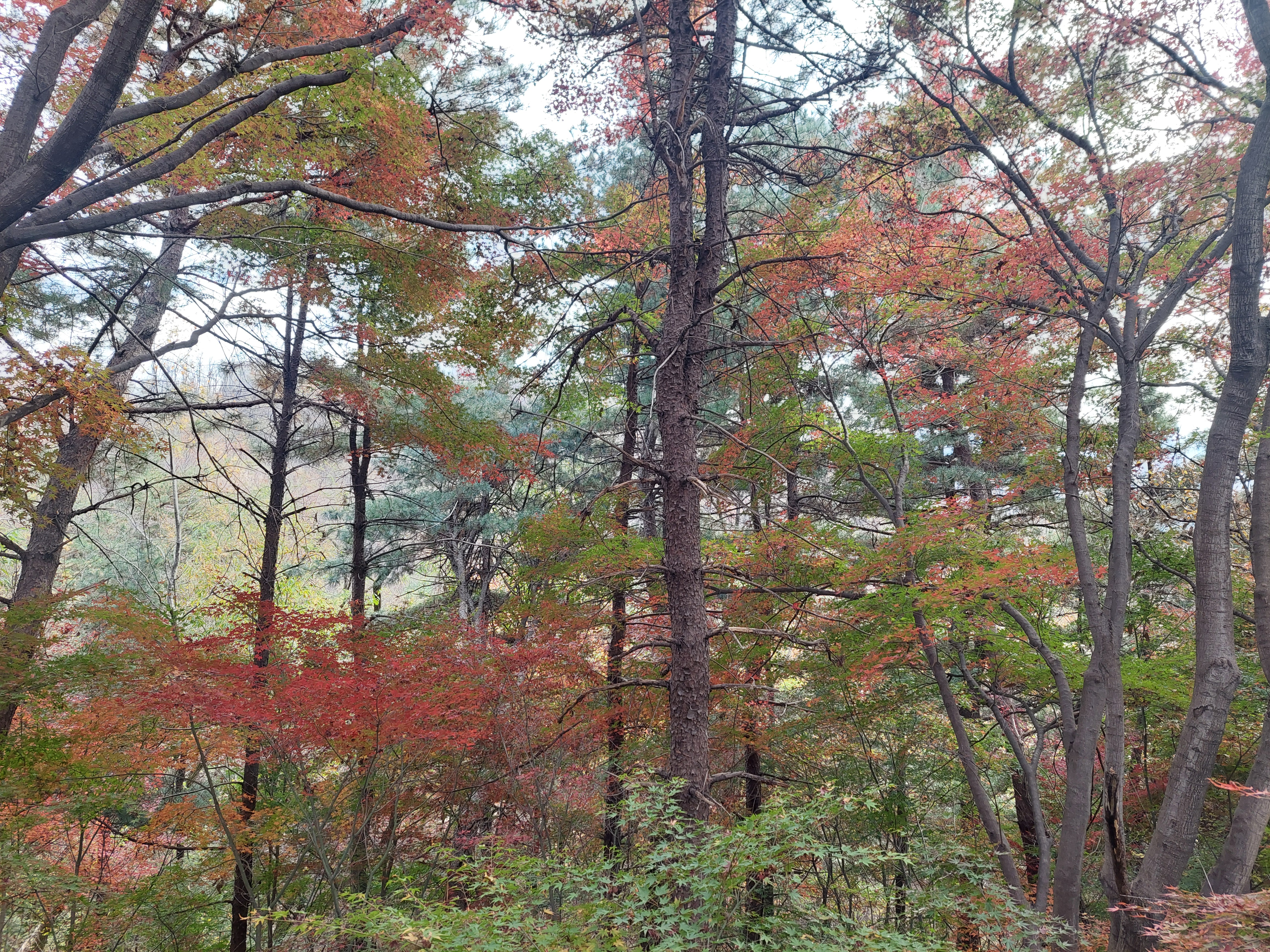안산