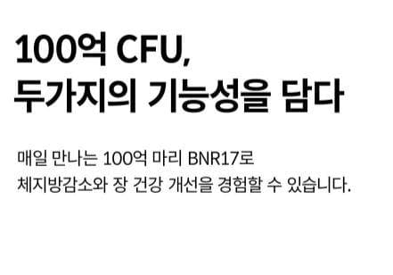 BNR17 유산균 효능