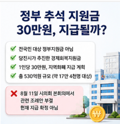 정부 추석 지원금 지자체 지원금 공식 확인 바로가기